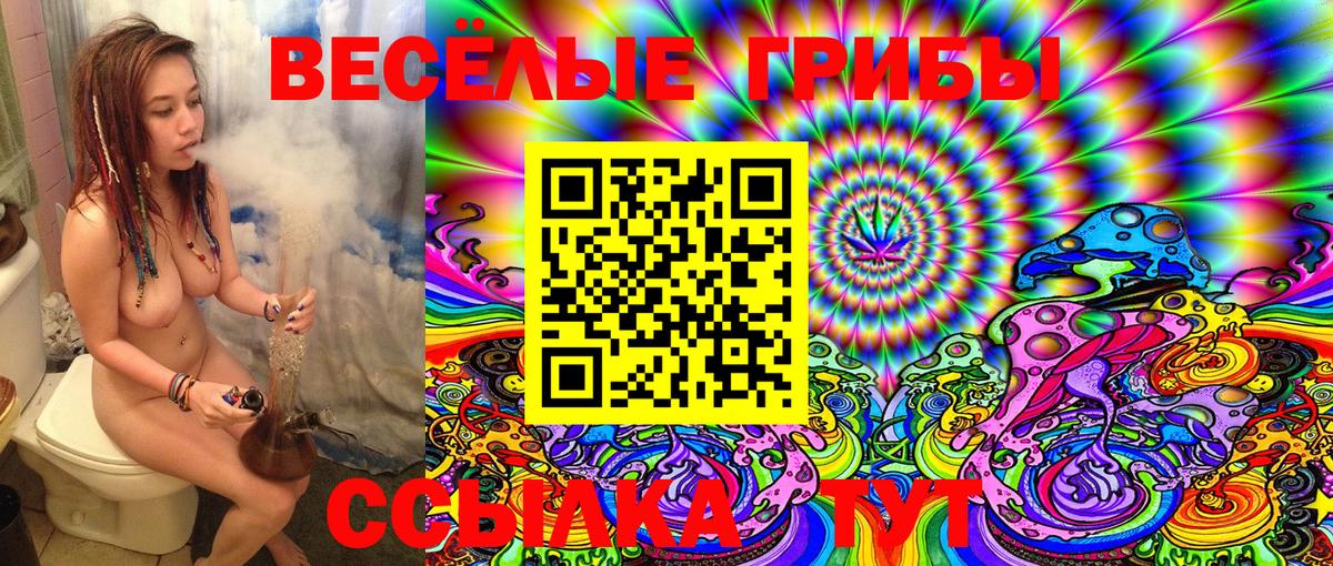 Псилоцибиновые грибы Psilocybe Волжск