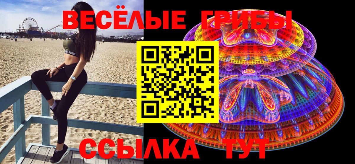 Галлюциногенные грибы MAGIC MUSHROOMS  купить наркотик  Волжск  Псилоцибиновые грибы Cubensis  Вход с VPN 
