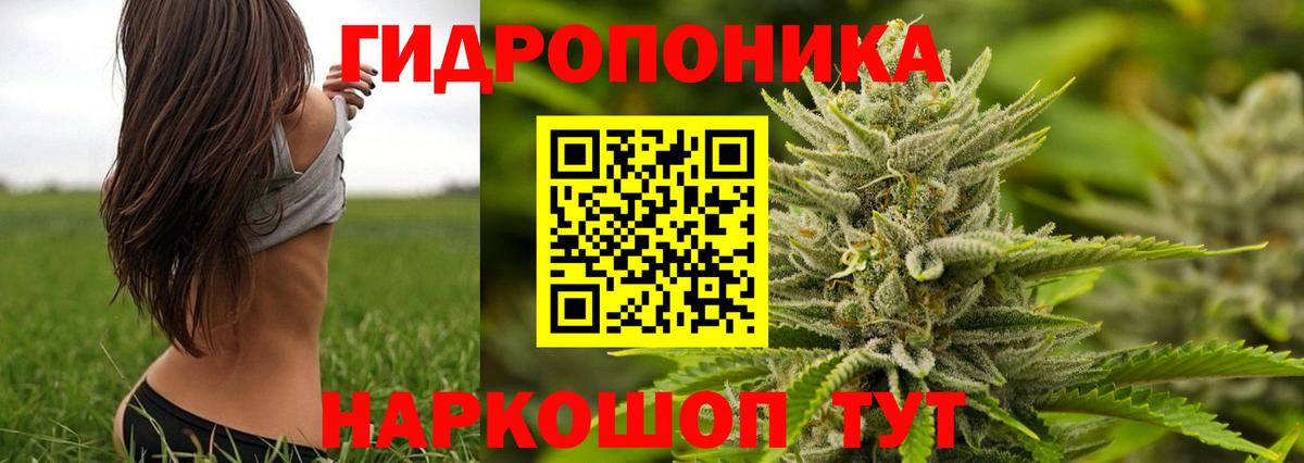 Волжск  Каннабис семена  Бошки марихуана конопля  Вход с VPN  Канабис план 